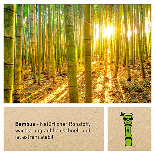 BambusBande - Bastoncillos de algodón de bambú y algodón con cabeza de seguridad, 55 unidades, alternativa sostenible a madera y plástico, 100% orgánicos y respetuosos con el medio ambiente.