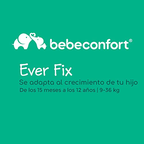 Bebe Confort Ever Fix Silla de Coche grupo 123 Isofix, para niños 9-36 kg de 9 meses a 12 años, con reductor acolchado para niños pequeños, protectores laterales, color Pixel Black