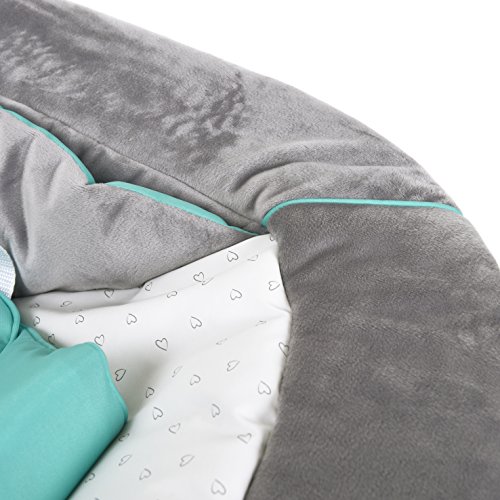 Hauck Newborn Set (2 Piezas): Trona Alpha desde 6 meses hasta 90 kg, evolutiva, altura regulable, en blanco + Hamaca (Cojin reductor: Osito) en gris