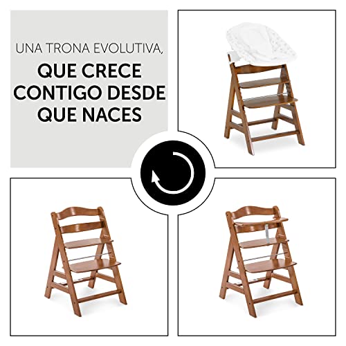 Hauck Trona Alta de Madera Alpha +, Regulable, Apto para Recien Nacidos Combinando con el Newborn Set Alpha Bouncer (disponible por separado), Marrón Nuez