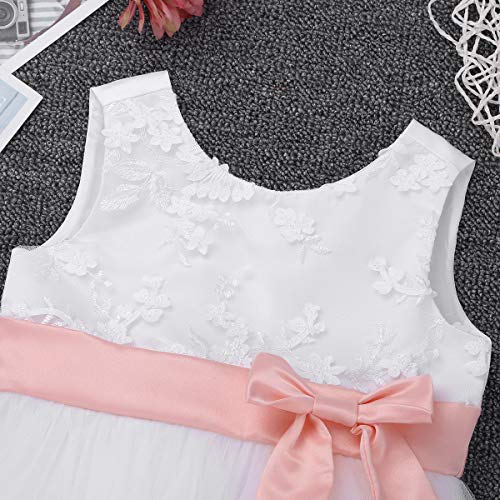 iiniim Vestido de Bautizo Bebé Niña Recién Nacido Vestido Blanco Brodado de Bautizo Boda Princesa Tutú Bowknot Traje de Bautizo Fiesta Ceremonia Conjunto con Bragas 0-24 Meses Rosa 3-6 meses