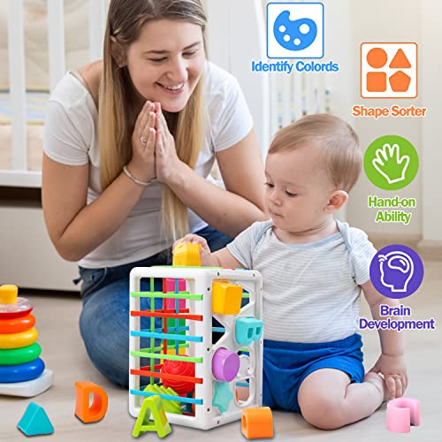 Juguetes de bebé para Juguetes Montessori de 12 a 18 Meses, Juguetes sensoriales de clasificación de Forma de bebé ,Regalos de cumpleaños de Aprendizaje temprano para niños y niñas de 1 a 2 a 3 años