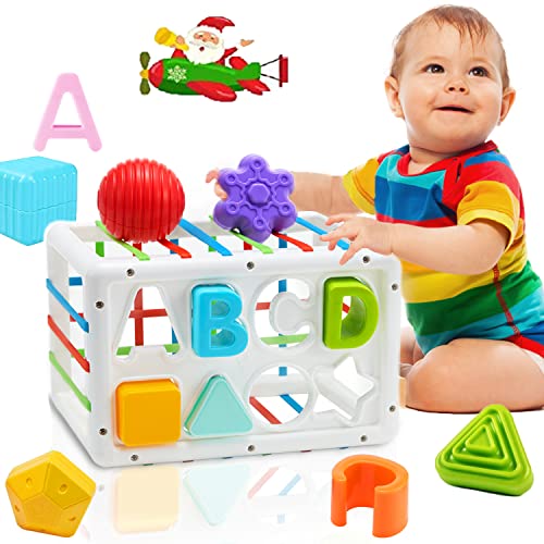 Juguetes de bebé para Juguetes Montessori de 12 a 18 Meses, Juguetes sensoriales de clasificación de Forma de bebé ,Regalos de cumpleaños de Aprendizaje temprano para niños y niñas de 1 a 2 a 3 años