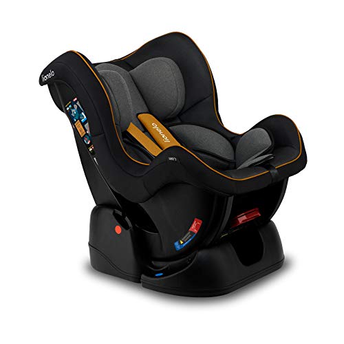 LIONELO Liam Asiento de seguridad Para niños 0-18 kg, Regulación gradual de 3 niveles, Cinturones de seguridad con 5 puntos, Montaje en el sentido de la marcha y a contramarcha