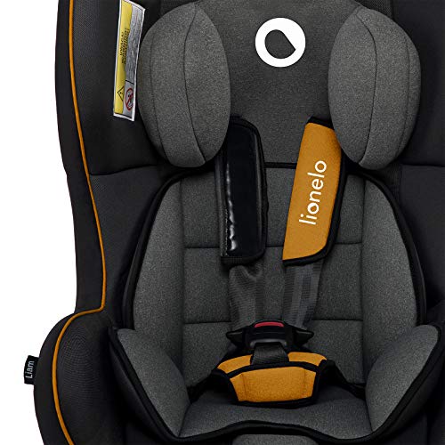 LIONELO Liam Asiento de seguridad Para niños 0-18 kg, Regulación gradual de 3 niveles, Cinturones de seguridad con 5 puntos, Montaje en el sentido de la marcha y a contramarcha