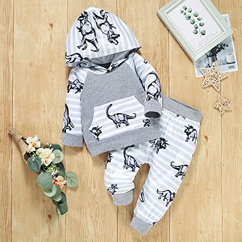 Yassiglia Ropa de bebé, 2 piezas, ropa de bebé, conjunto de manga larga, cuello redondo, sudadera con capucha con estampado de dinosaurios, pantalón a rayas, regalo de lujo, gris, 0-6 Meses