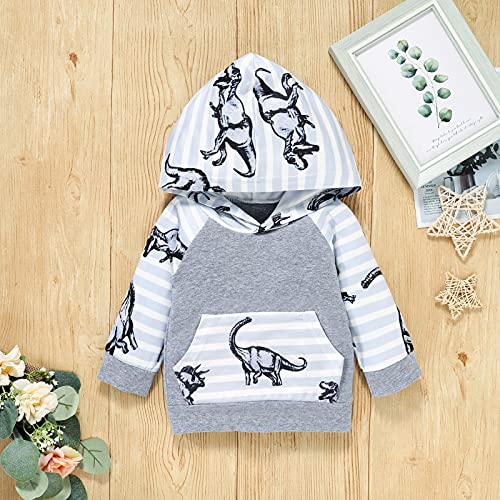 Yassiglia Ropa de bebé, 2 piezas, ropa de bebé, conjunto de manga larga, cuello redondo, sudadera con capucha con estampado de dinosaurios, pantalón a rayas, regalo de lujo, gris, 0-6 Meses