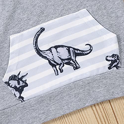 Yassiglia Ropa de bebé, 2 piezas, ropa de bebé, conjunto de manga larga, cuello redondo, sudadera con capucha con estampado de dinosaurios, pantalón a rayas, regalo de lujo, gris, 12-18 Meses