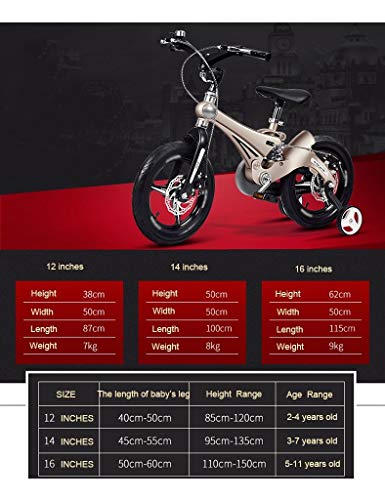 YXZQ Qiangzi Nuevo Modelo 3 Ruedas Triciclo de bebé Bicicleta para niños 12/14/16 Pulgadas Cochecito de bebé 3-6 años Bicicleta de montaña Bicicleta Bicicleta para niños niños