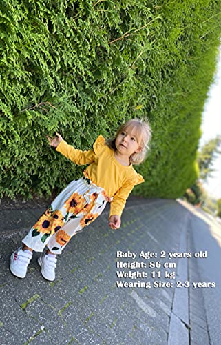 ZOEREA Conjunto de Ropa de Bebé Niña Encantador Manga Larga Tops con Volantes + Pantalones Floral + Venda Recién Nacido Niñas Otoño Primavera Trajes 3 Piezas (Estilo 1 Girasol, 2-3 años)